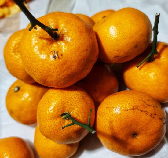 High angle view of oranges