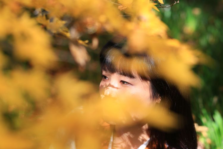Beautiful woman looking away while sitting in grass at park