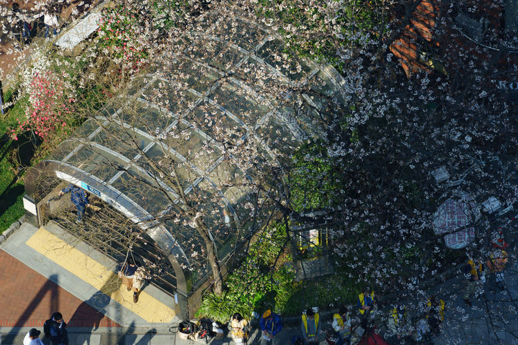 High angle view of people on plants