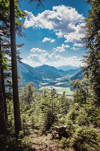 Scenic view of trees and mountains against sky
