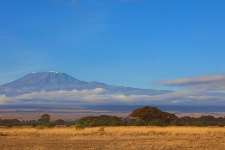 Scenic view of kilimanjaro in kenya