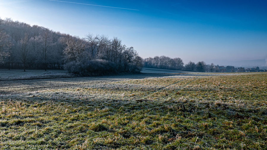 Scenic view of field against clear sky during winter