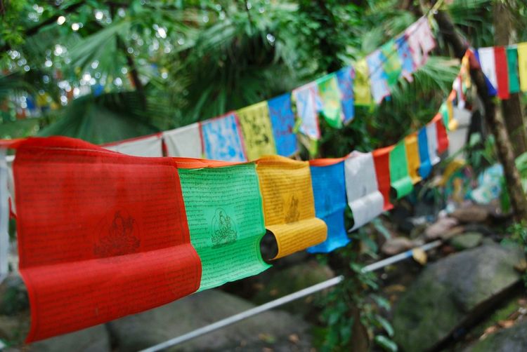 Close-up of multi colored flags hanging outdoors