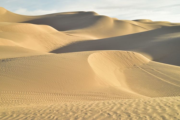 Sand dunes in desert against sky