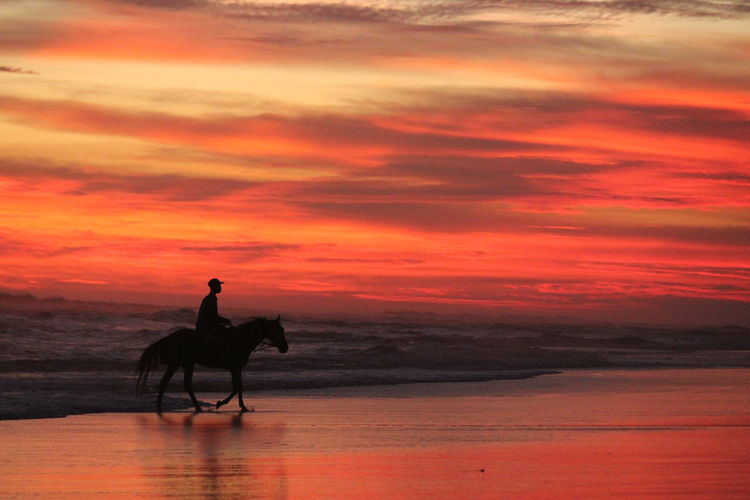 Silhouette people riding horse on beach against orange sky