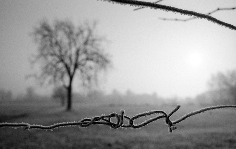 Close-up of barbed wire against sky during winter