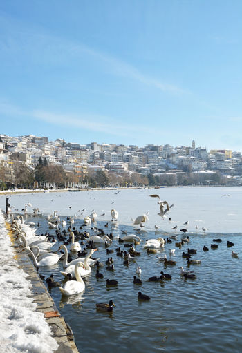 Snowy lake scene with boat trapped in the lake and town of kastoria as background