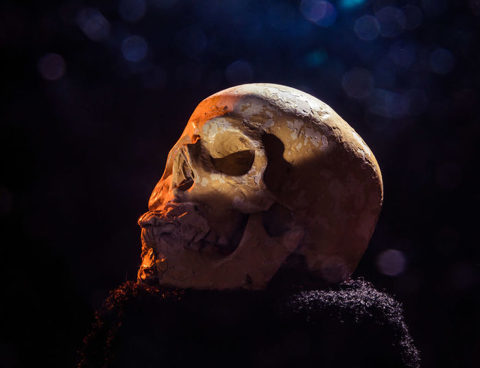 A beautiful, colorful object photo of an artificial, broken skull. life, death, medicine artifact.