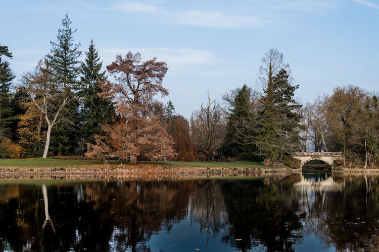 Reflection of trees in lake against sky