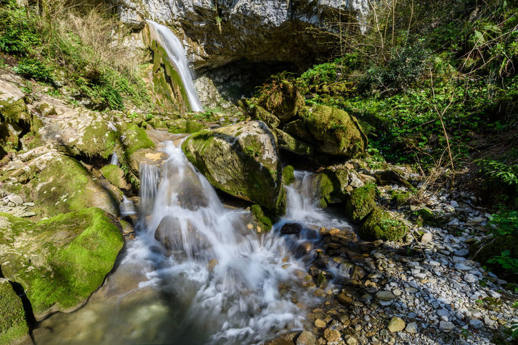 Scenic view of waterfall in forest