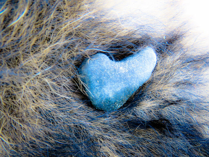 Close-up of heart shape on rock