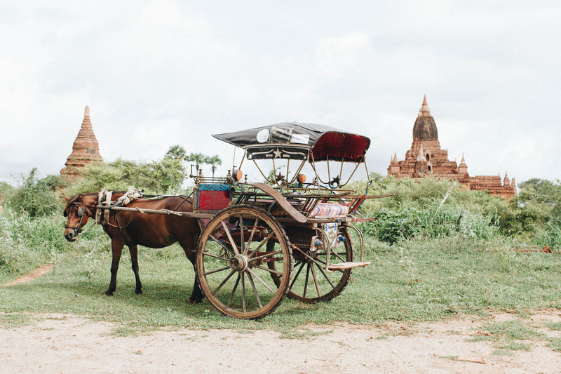 Horse cart outside temples against cloudy sky
