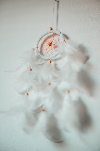 Close-up of feather hanging on white background