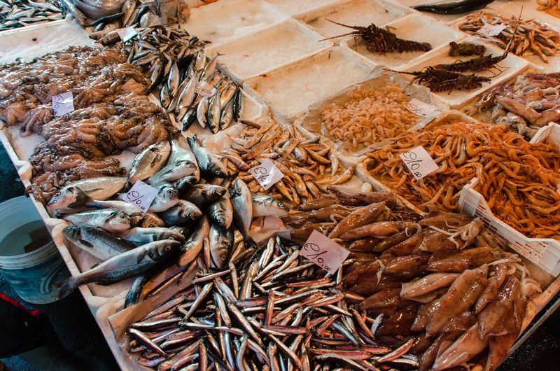 High angle view of fish for sale at market stall