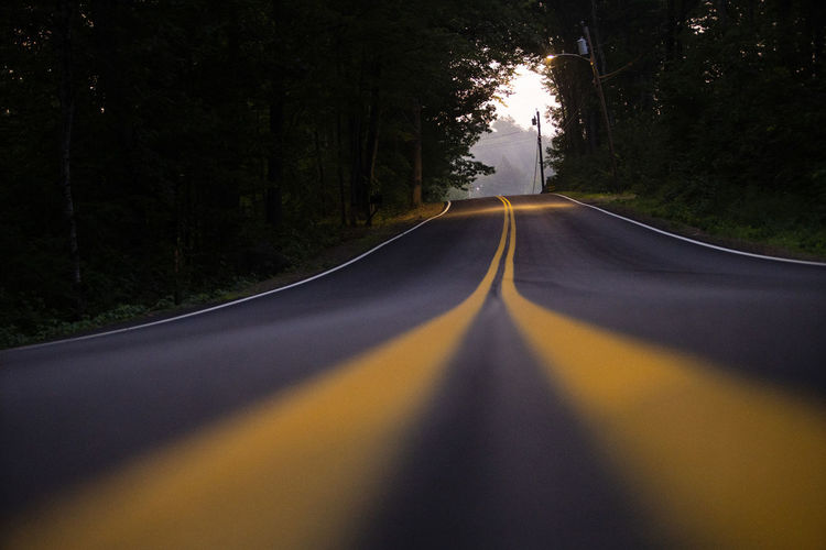 Freshly paved and painted road winds through arbor tunnel in forest.