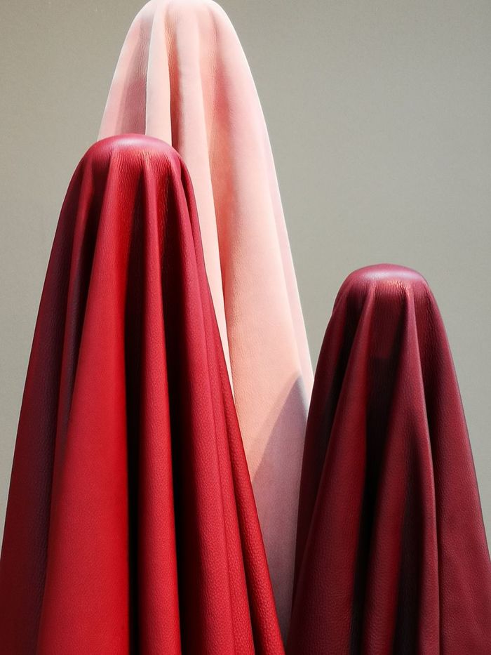 Close-up of clothes hanging against gray background
