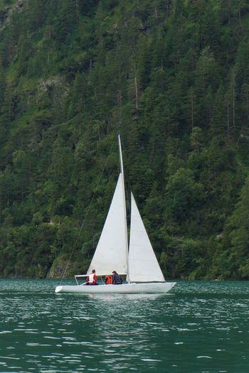 Sailboat sailing on sea against mountain in forest