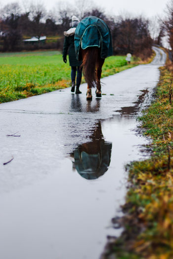 Rear view of woman with horse walking in rain