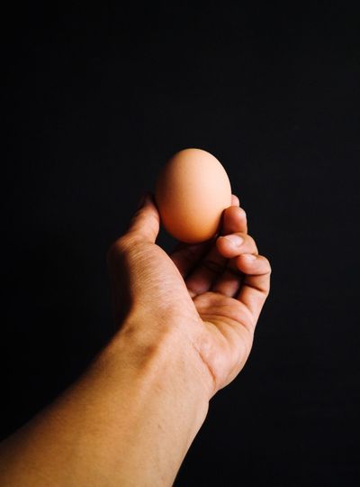 Close-up of hand holding egg against black background