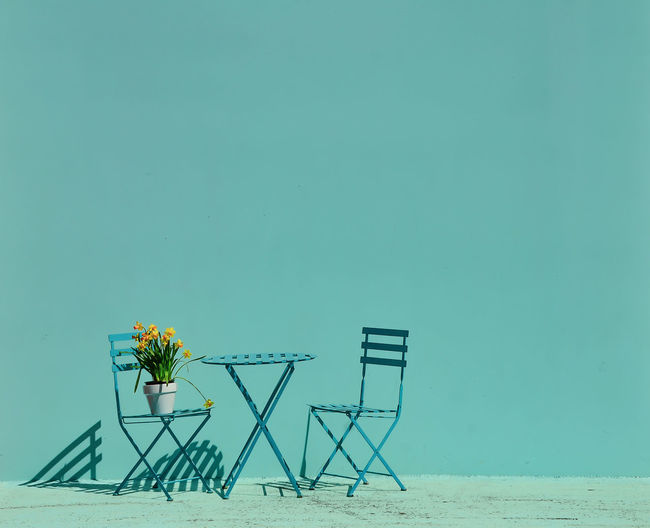 Potted plant with chairs and table against blue wall