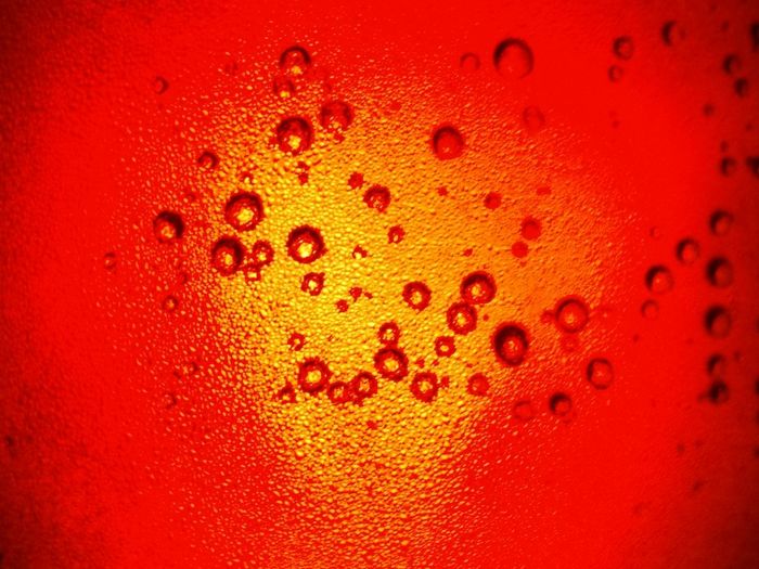 Close-up of water drops on red background