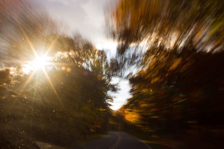 Country road at sunset