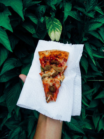 Cropped hand holding pizza by plants