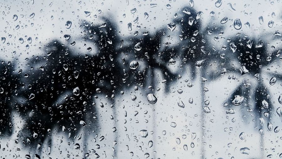 Close-up of water drops on glass window