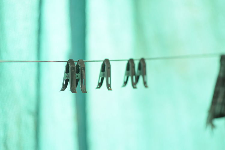 Close-up of clothes hanging on clothesline against blue wall