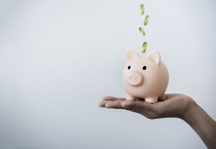 Cropped hand of person holding piggy bank against white background