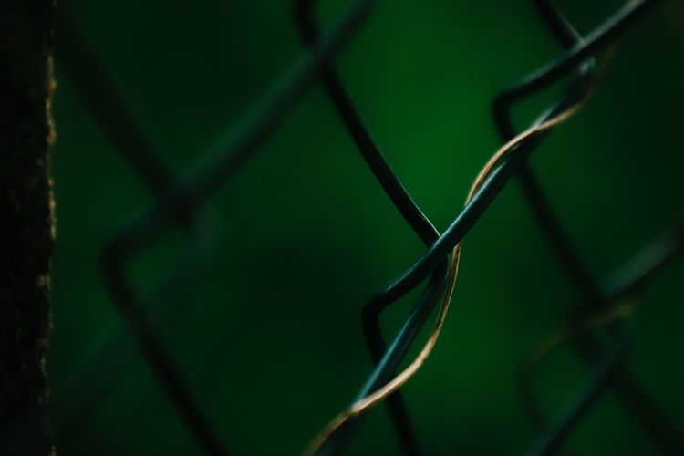 Close-up of chainlink fence