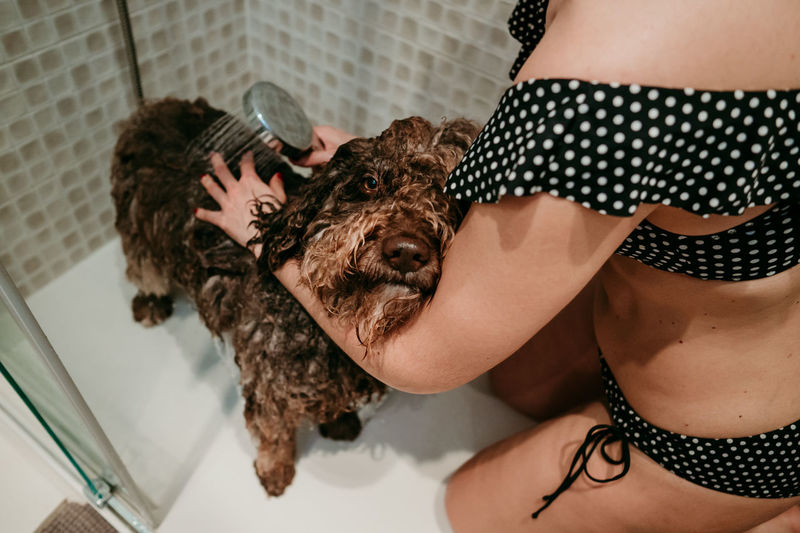 High angle view of woman bathing dog in bathroom