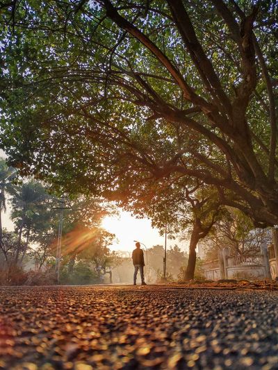 Rear view of man on footpath amidst trees