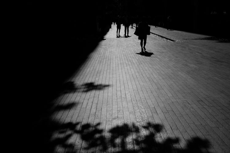 Shadow of people walking on road