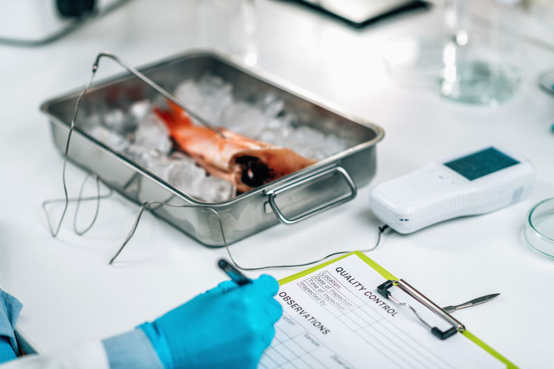 Fish quality control - food safety inspector searching for the presence heavy metals 