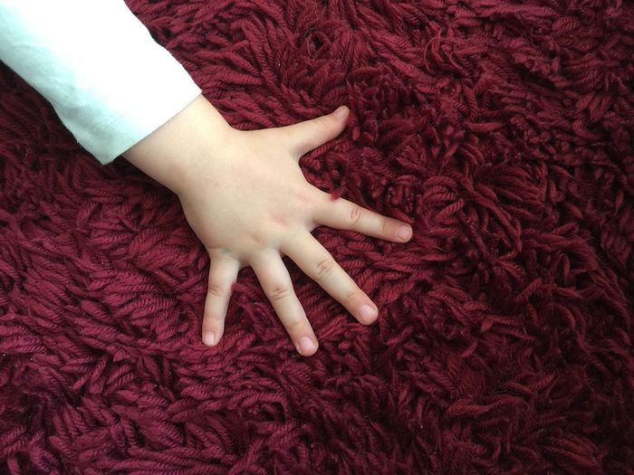 Close-up of hand touching red berries on rug