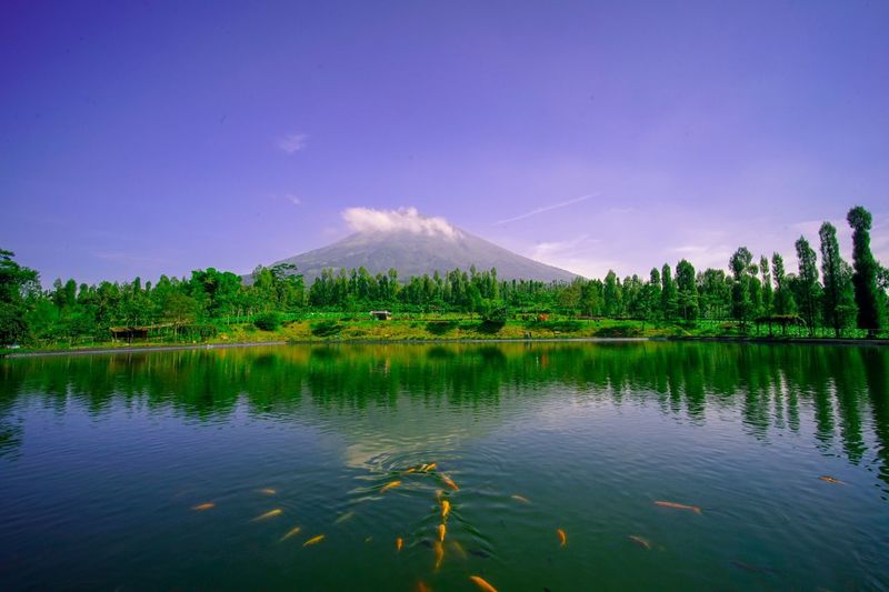 Scenic view of lake against blue sky