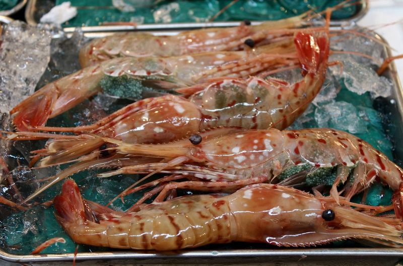 Close-up of shrimps