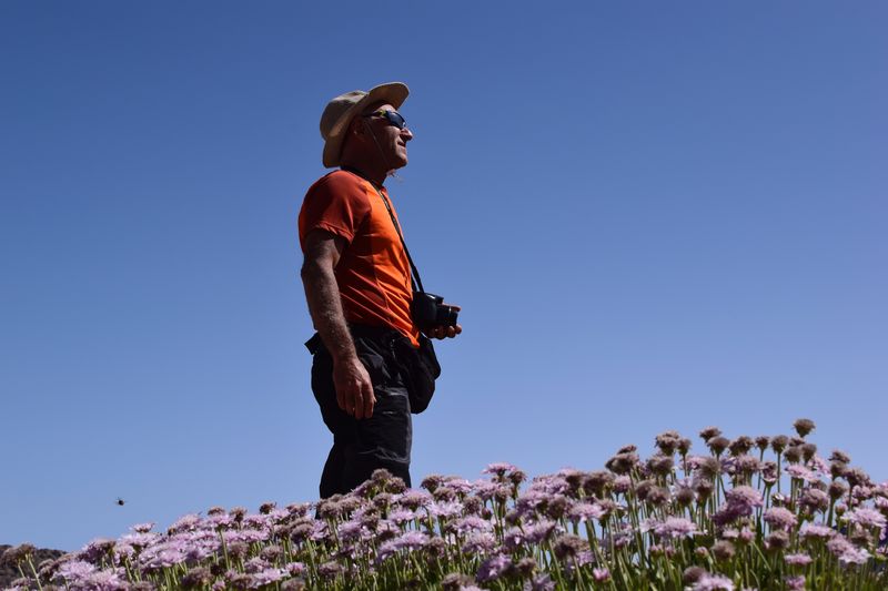 Man standing by flowering plants against clear blue sky