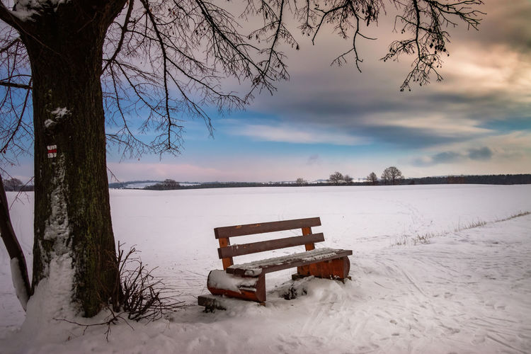 Empty bench on snow field against sky during winter