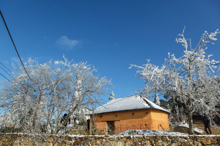 House and trees on field against blue sky