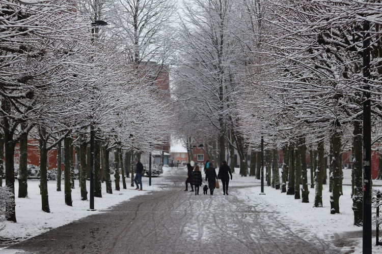 Rear view of people walking on snow covered footpath