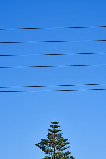 Low angle view of electricity cables against blue sky