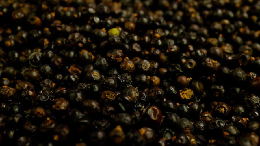 Full frame shot of dried berries