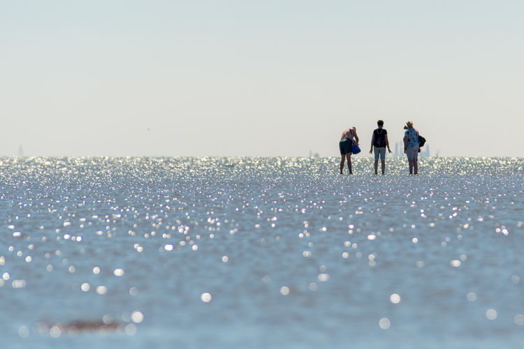 People walking on mudflat beach against clear sky