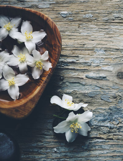 High angle view of white flowers on wooden table