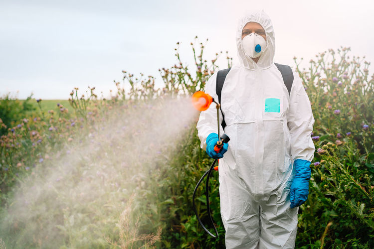 Person in protective workwear and mask spraying herbicide on thistle field