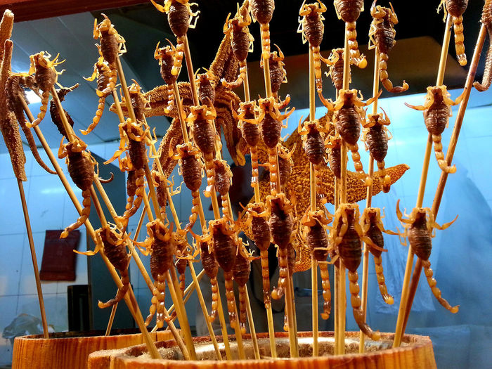 Cooked scorpions on skewers for sale
