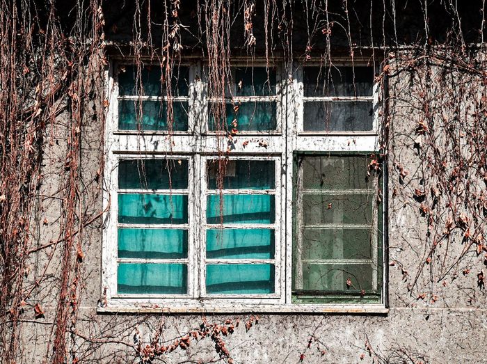 Window of abandoned house