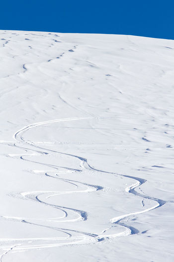 Free ride ski and snowboard tracks in powder snow, snowcapped landscape 